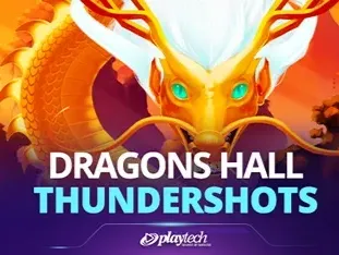 Dragon's Hall_ Thundershots game screenshot